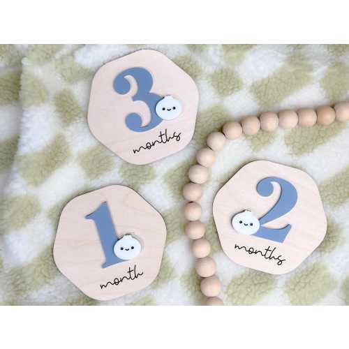 Dumpling Monthly Milestone Markers | Milestone Marker | Wood First Year Photo Prop | Monthly Age Marker | Baby Shower Gifts