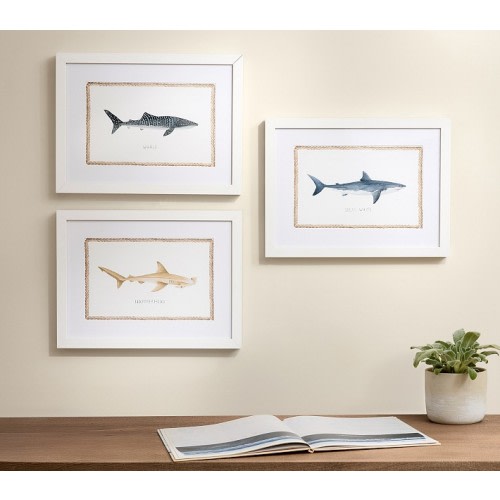 Shark Art Collection (16"x 12") | Pottery Barn Kids