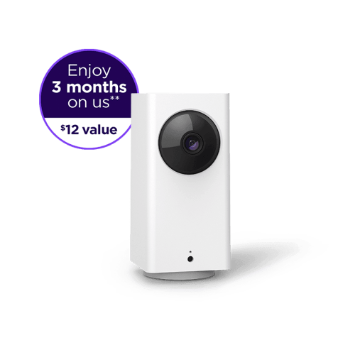 Roku Indoor Camera 360° | Indoor Security Cameras | Roku