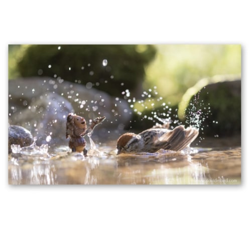 Sparrow Splash Print – David M Bird