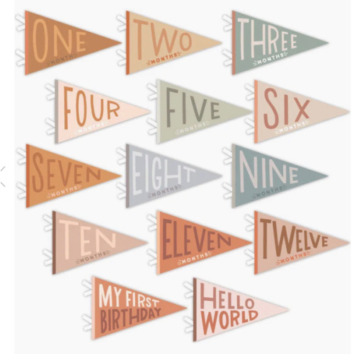 Mountain Fields Petit Milestone Pennant – Maisonette