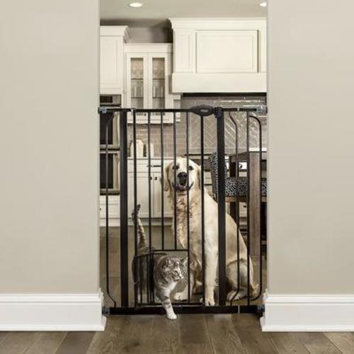CARLSON PET PRODUCTS 36-in Extra Tall Dog Gate, Large, Black - Chewy.com
