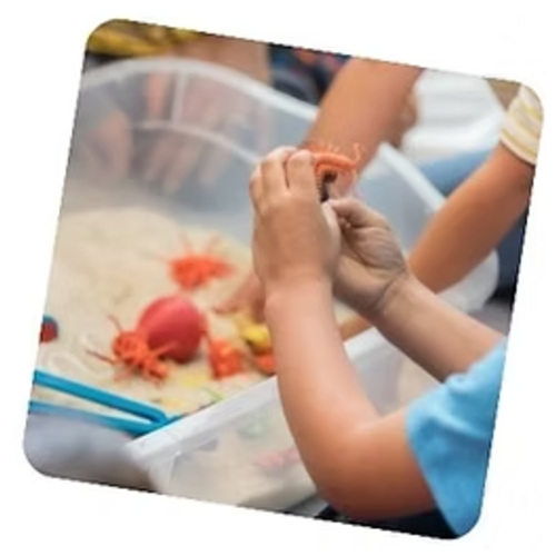 Sensory Play Studio Gift Card