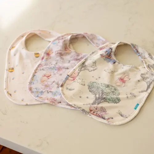 Disney Hundred Acre Wood Bib Set