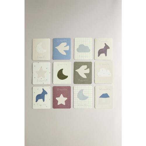 BABY MONTHLY MILESTONE KIT – 12 DONKEY CARDS