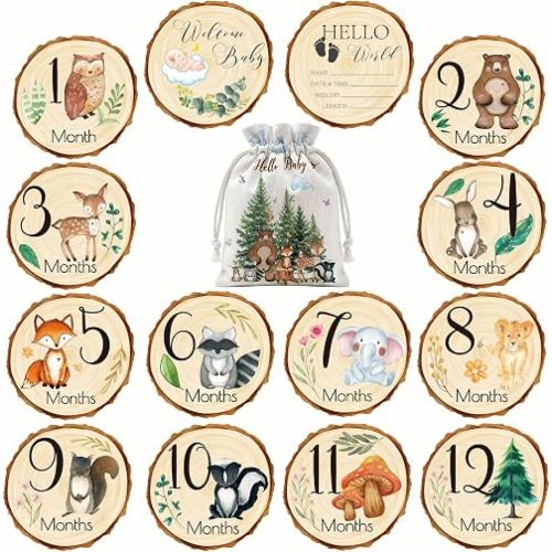 Woodland Baby Monthly Milestone Signs, Baby Announcement Sign Marker