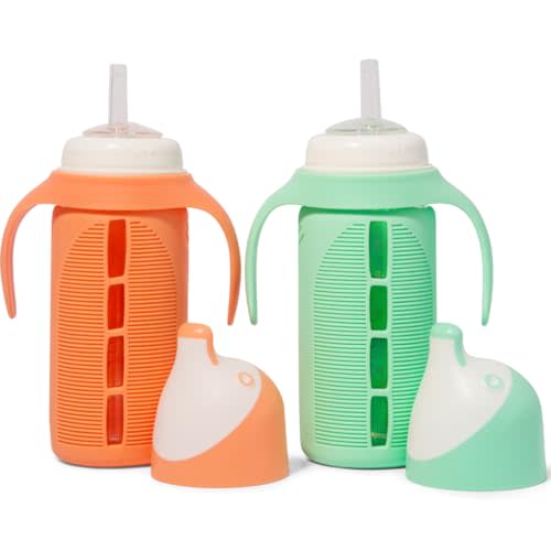 Tabor Place Set of 2 - Glass Sippy Cup for Toddlers - The Luca | Spill-Proof | Silicone Straw | Mint Green & Orange | 8 oz | Liquids Never Touch Plastic | Removable Handles… (orange)