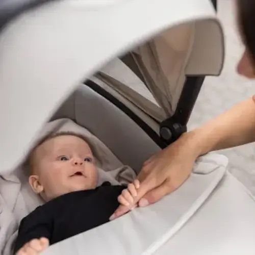 thule sleek bassiney - Google Search