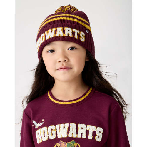 Harry Potter™ Spellbinding Studies Sweater Beanie
