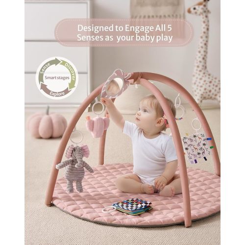 Blissful Diary Baby Play Gym Mat, Tummy Time Activity Mat with 6 Detachable Toys for Skill Development, Baby Essentials Gift, Soft Pink