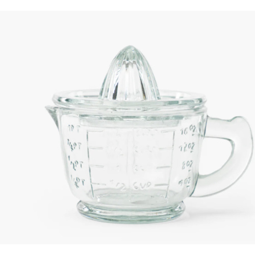 Glass Juicer with Measuring Cup
