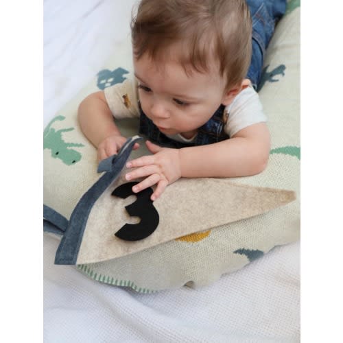 Baby Milestone Photo Prop: Felt Pennant with Numbers and months, baby photo prop