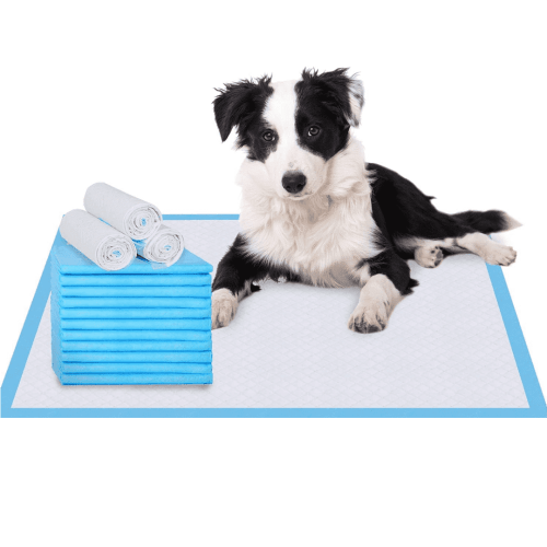 Pet Puppy Training Pads, 5-Layer Leak-Proof Pee Pads, 20 Count Disposable Dog Pee Pet Pads(17.7 x 13 inches)