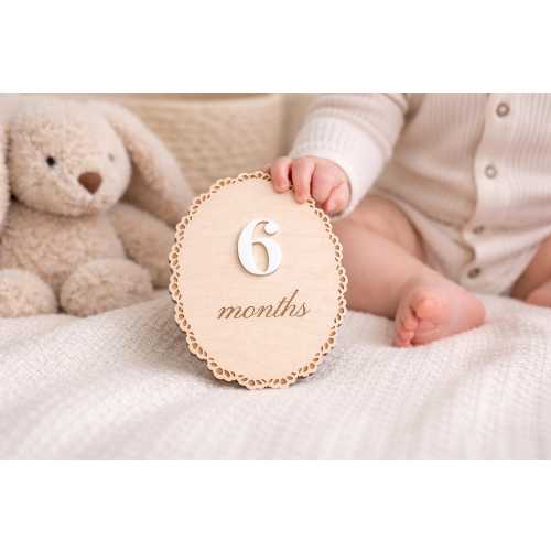 Monthly Baby Milestone Sign, Interchangeable Numbers, Wood Photo Prop, Baby Shower Gift
