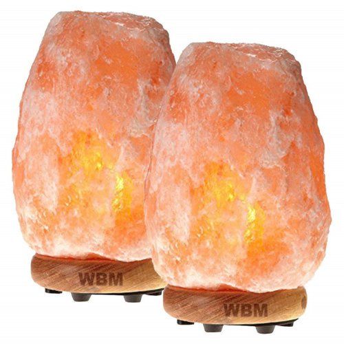 Dakota Fields Barney Natural Pink Salt Lamp with Neem Wooden Base,6-8lbs & Reviews | Wayfair