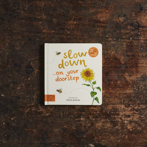 Rachel Williams & Freya Hartas - Slow Down Board Book – MamaOwl