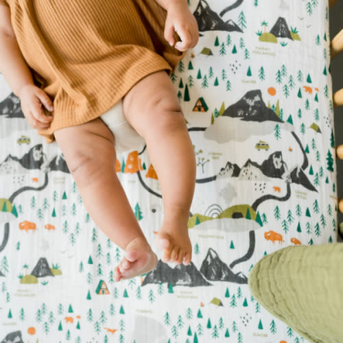 National Parks Crib Sheet