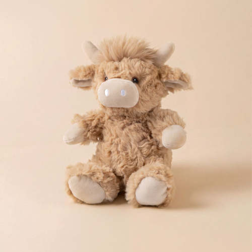 Logan the Highland Cow