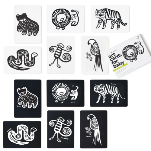 Art Cards for Baby - Jungle Collection