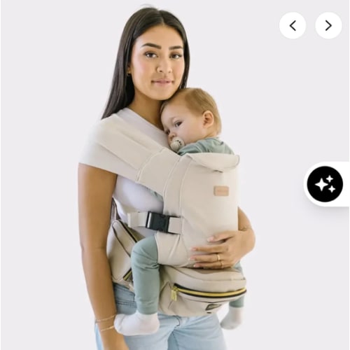 2-in-1 Convertible Carrier
