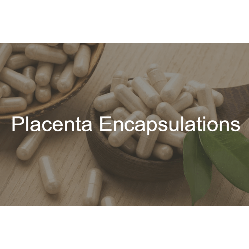 Placenta Encapsulations Service