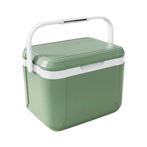 EARKITY 5 L Hard Sided Thermocooler with 6 Ice Pack, Green