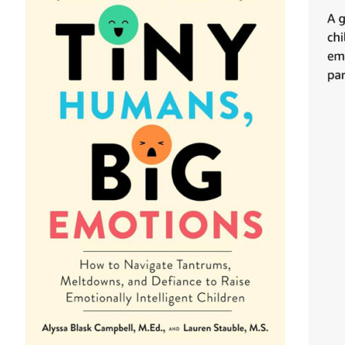 Tiny Humans, Big Emotions: How to Navigate Tantrums, Meltdowns, and Defiance to Raise Emotionally Intelligent Children―An Essential Guide for Caregivers of Children from Infancy to Age Eight