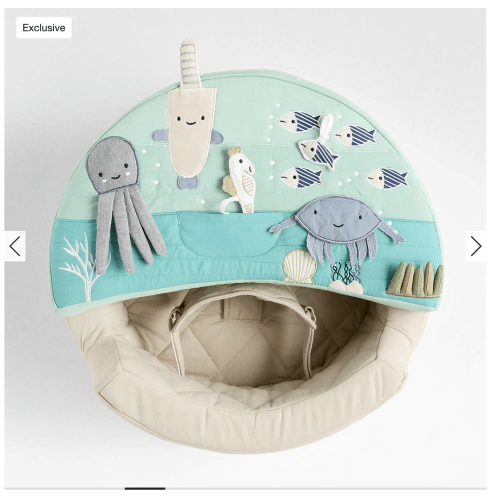 Aquatic Baby Activity Chair