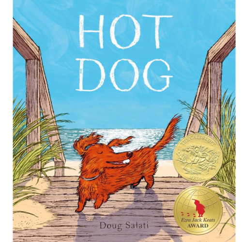 Hot Dog: (Winner of the 2023 Caldecott Medal)