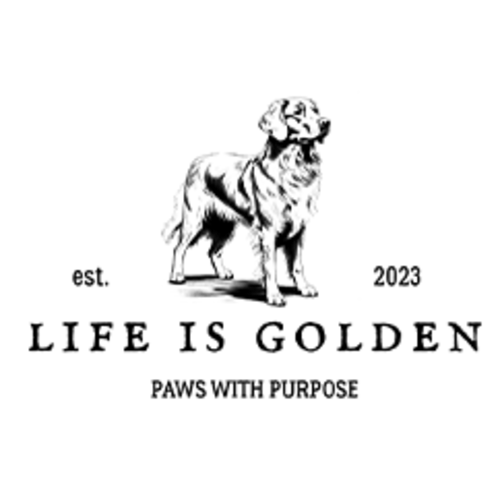 One Golden Year Onesie – Life Is Golden