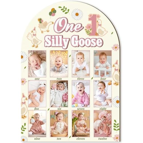 R HORSE My First Year Photo Frame Board, 3D One Silly Goose Birthday Decorations Display Wood Board, Baby First Year Picture Frame 12 Months Milestone 1st Birthday Nursery Decor Gift for Boy Girl