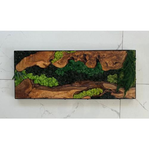 Custom Made Moss and Olive Wood Wall Art, Handmade Gift,Metal Frame Moss Wall Decor, Olive Wood and Moss Wall Art, The New Homeowner