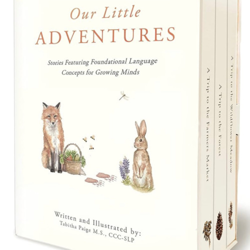 Our Little Adventures: Stories Featuring Foundational Language Concepts for Growing Minds (Tabitha Paige Children's Book Series)