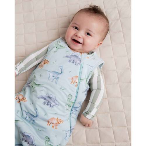 Cuddle-saurus Sleep Sack