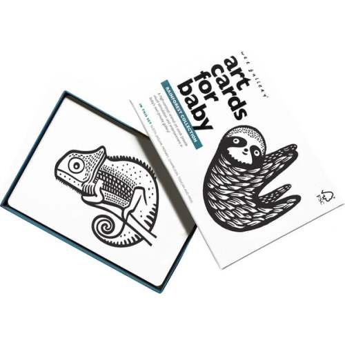 Rainforest - Art Cards for Baby  - Wee Gallery | Maisonette