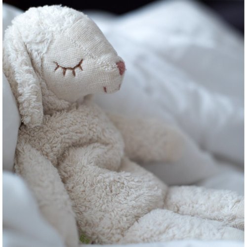 Cuddly animal Sheep small | white | Y21006