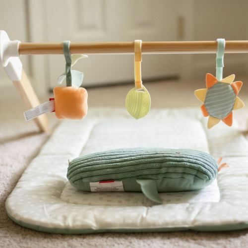Skip Hop Skip Hop x Babylist Garden Oasis Toy Arch with Mat