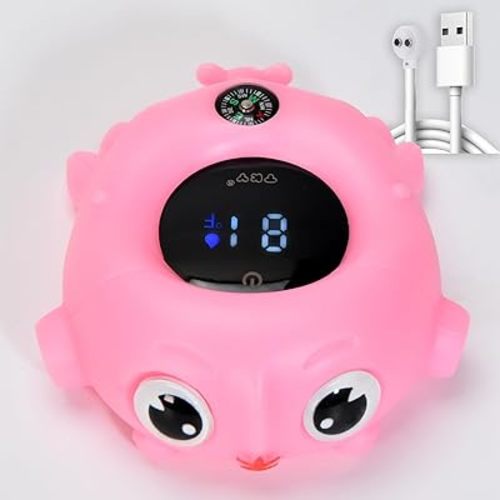 Rechargable Baby Bath Thermometer