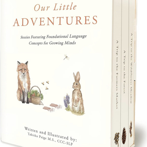 Our Little Adventures: Stories Featuring Foundational Language Concepts for Growing Minds (Tabitha Paige Children's Book Series)