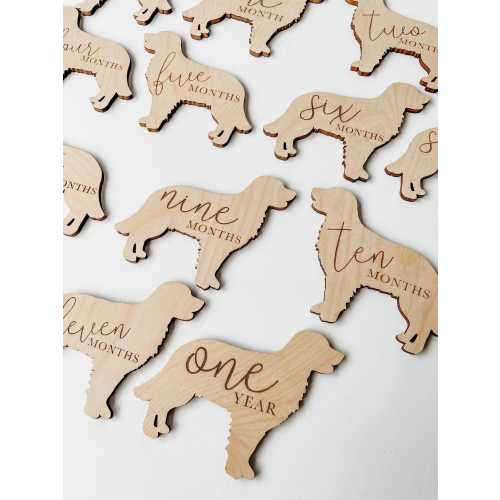 Dog baby milestone markers, wooden monthly photo props, pet lover baby gift, puppy themed baby keepsake, dog nursery decor