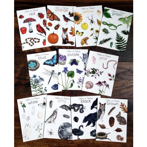 Backyard Nature Art Prints, Colors in Nature- Set of (12) 5x7" Prints
