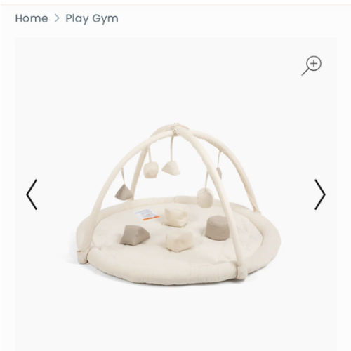 Play Gym