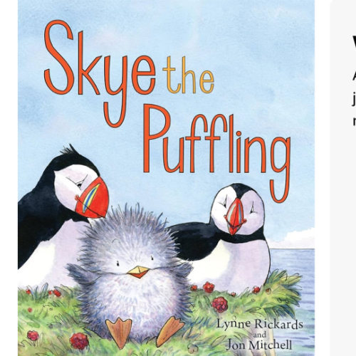 Skye the Puffling: A Wee Puffin Board Book (Wee Kelpies)