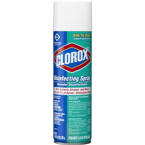 Clorox Disinfectant Spray, 19 Ounce, 1 Each