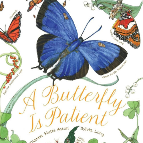 A Butterfly Is Patient