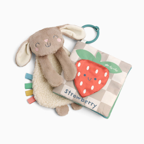 Itzy Ritzy Itzy Learn & Snuggle Gift Set - Bunny