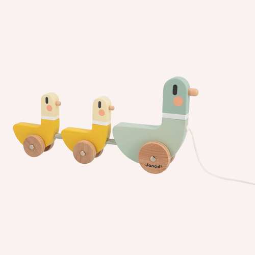 Cocoon Pull along Duck Family