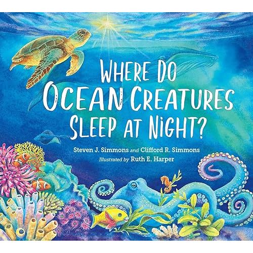 Where Do Ocean Creatures Sleep at Night? Hardcover – Picture Book, April 16, 2024