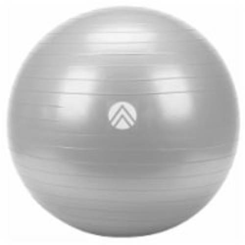 Trajectory Anti-Burst Stability Ball 55cm - Ultimate Gray, 1 ct