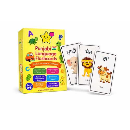Punjabi Language Flashcards for Beginners - Learn Punjabi Easily